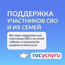 Сервисы поддержки для участников СВО и членов их семей